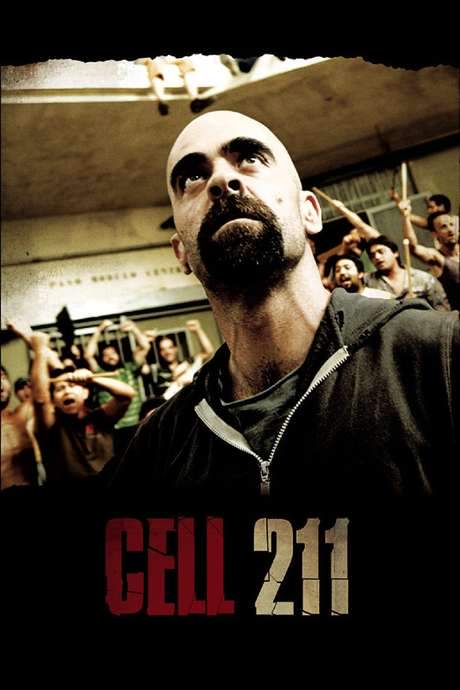 Cell 211